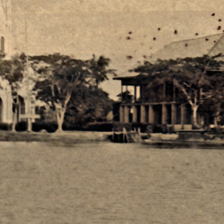 บางนกแขวก – 01